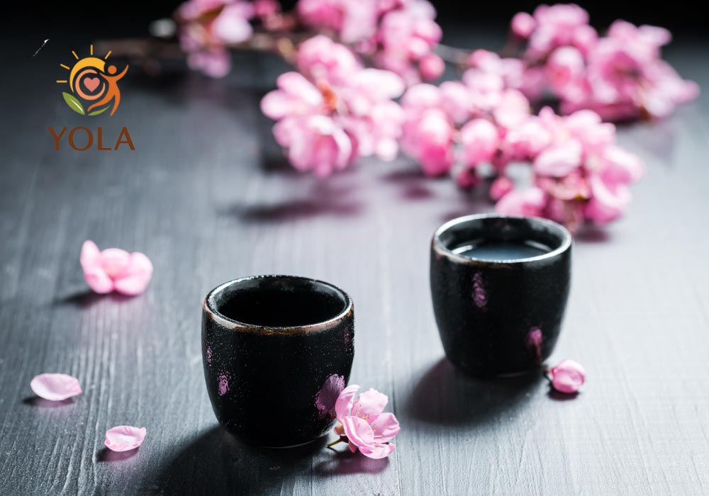 ikigai trainer and coach course setup