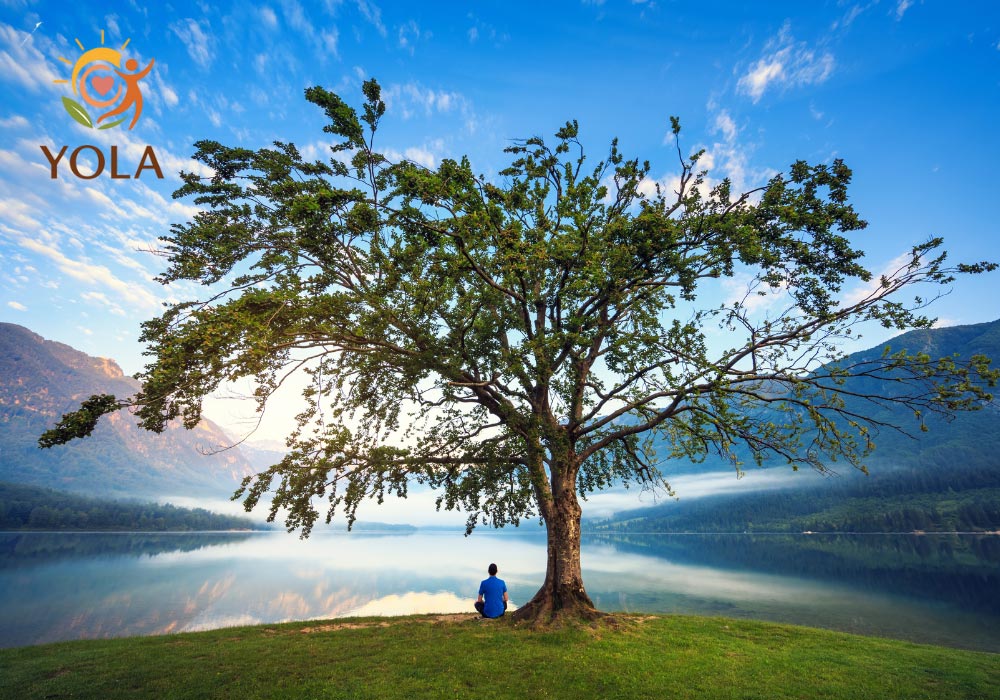 sturmfest kurs yola baum see meditation